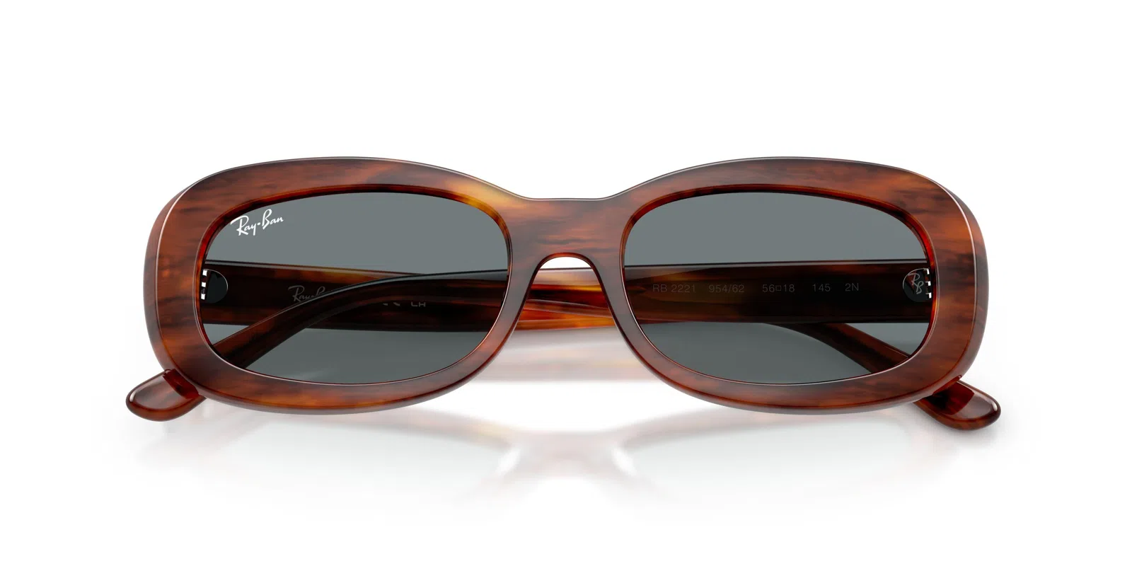 Ray-Ban 2221 Sunglasses - view 29